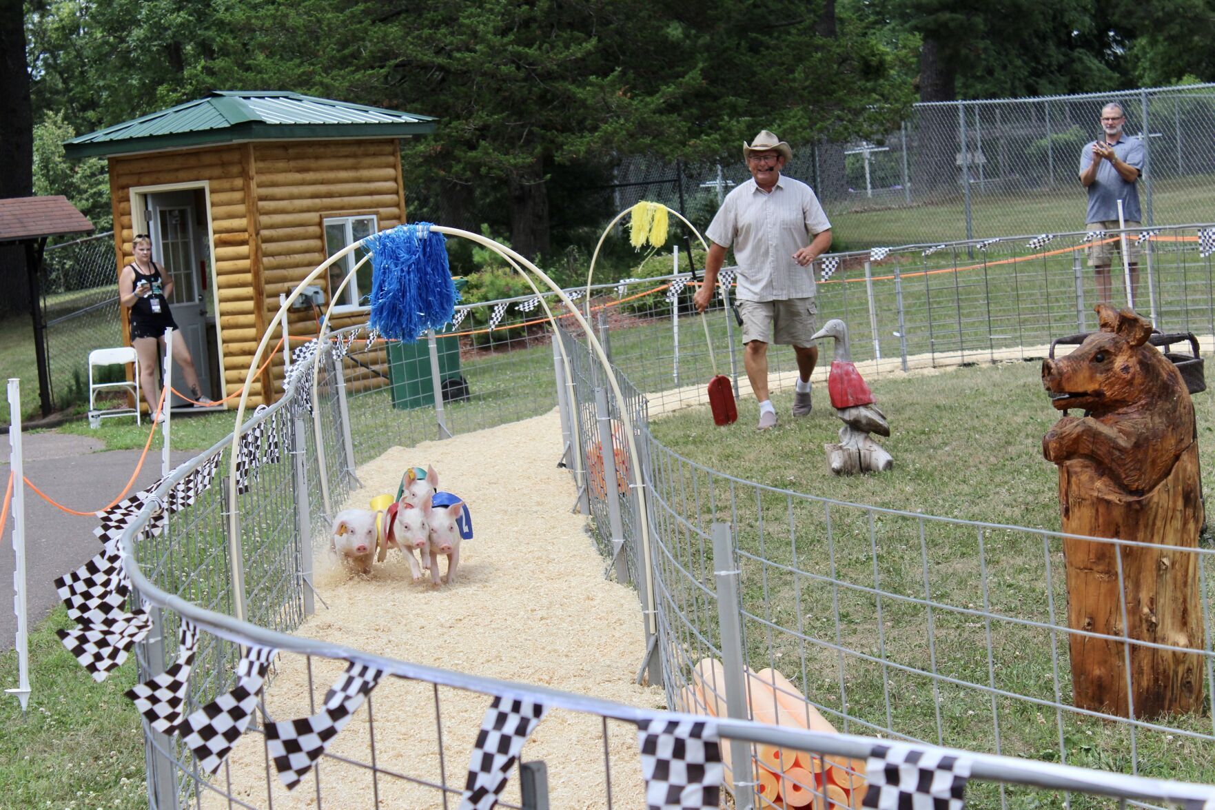 Pig races